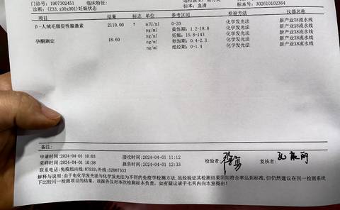 journal_insert_pic_4105927286
