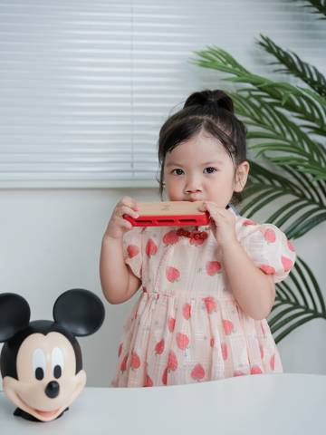 journal_insert_pic_4117401568