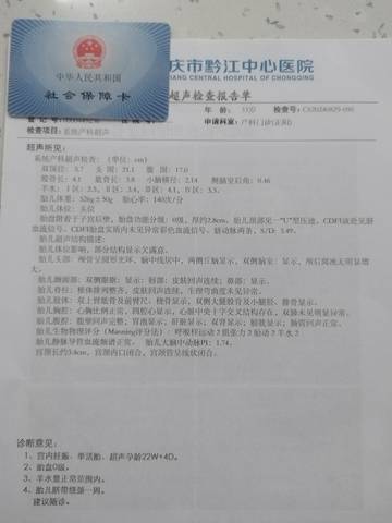 journal_insert_pic_4117858066