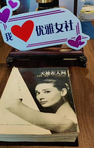 journal_insert_pic_4118613766