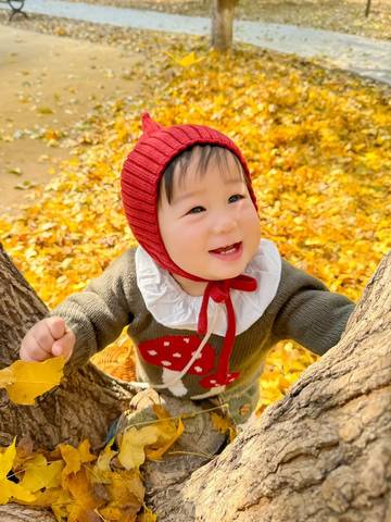 journal_insert_pic_4121273395