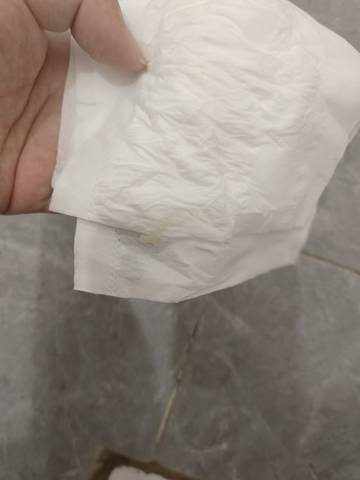 journal_insert_pic_4121434058