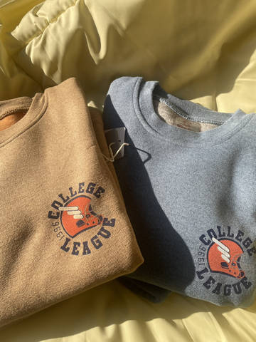 journal_insert_pic_4122598185