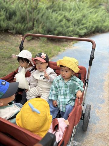 journal_insert_pic_4361074728