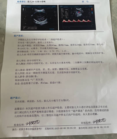 journal_insert_pic_4412642229