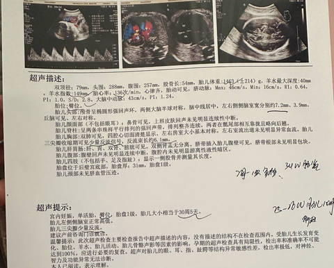 journal_insert_pic_4413385462