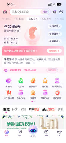 journal_insert_pic_4413645222