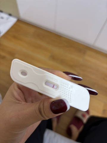 journal_insert_pic_4414300635