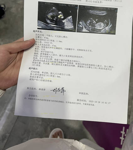 journal_insert_pic_4414805876