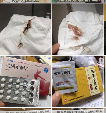 journal_insert_pic_4415218555