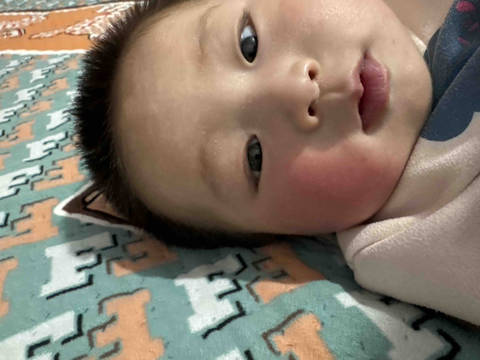 journal_insert_pic_4440266569