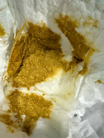 journal_insert_pic_4442350375