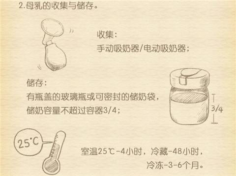 journal_insert_pic_966653335