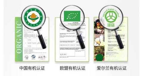 journal_insert_pic_992468520