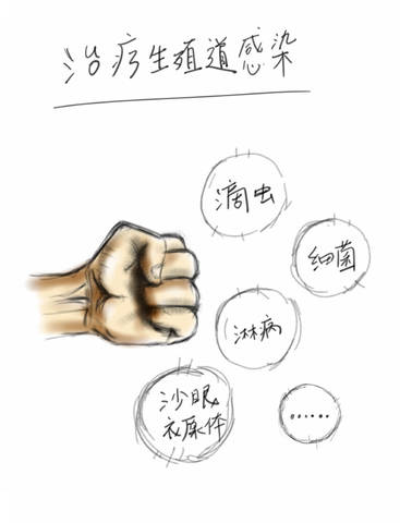 journal_insert_pic_1019537012