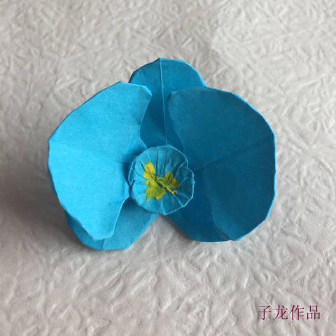 journal_insert_pic_1063227834
