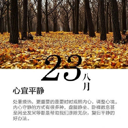 journal_insert_pic_1079324479