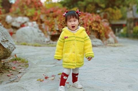 journal_insert_pic_1125239937