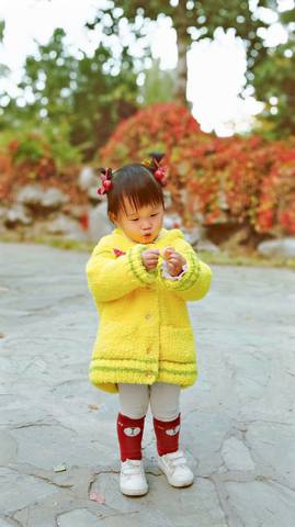 journal_insert_pic_1125239934