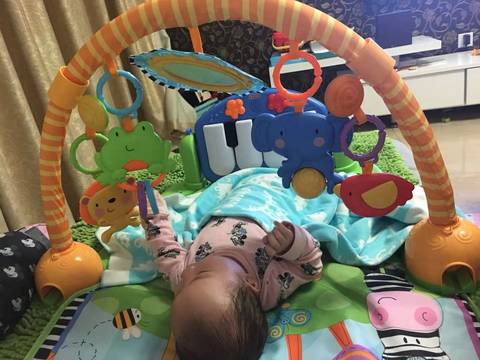 journal_insert_pic_1126823801