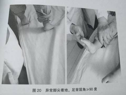 journal_insert_pic_1165088684