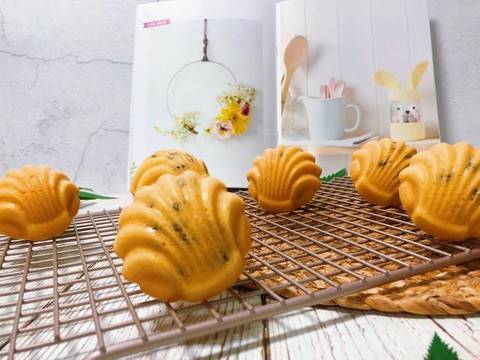 journal_insert_pic_1042123190