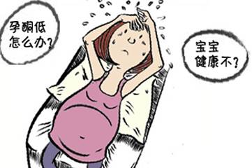 journal_insert_pic_1065650085