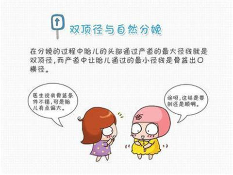 journal_insert_pic_1077766910