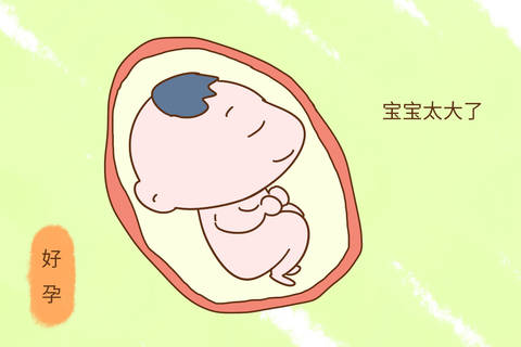 journal_insert_pic_1091090424