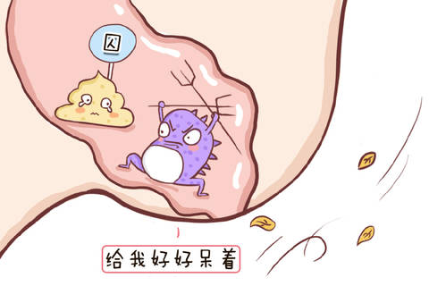 journal_insert_pic_1092365207
