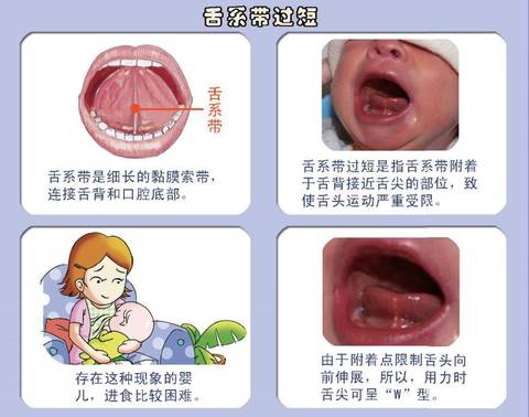 journal_insert_pic_1095585593