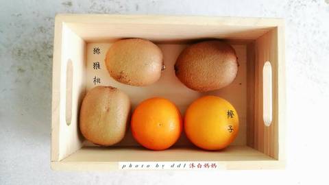journal_insert_pic_1163789649