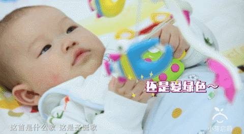 journal_insert_pic_1179494969