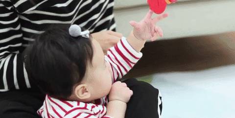 journal_insert_pic_1179494963