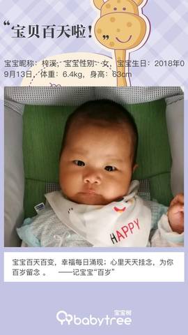 journal_insert_pic_1092534695