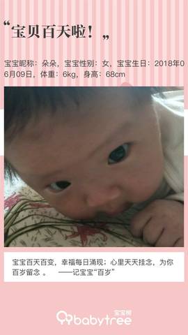journal_insert_pic_1092785518