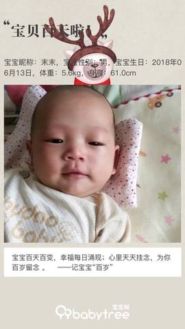 journal_insert_pic_1093241425