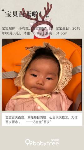 journal_insert_pic_1093629310