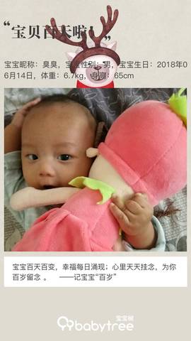 journal_insert_pic_1094407211