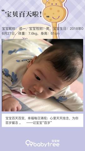 journal_insert_pic_1104523422