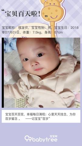 journal_insert_pic_1106055901