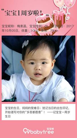 journal_insert_pic_1105834283