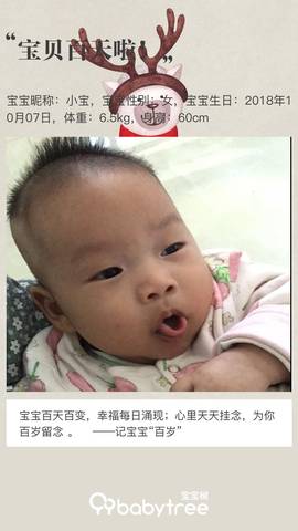 journal_insert_pic_1107137280