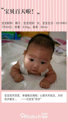 journal_insert_pic_1110324099