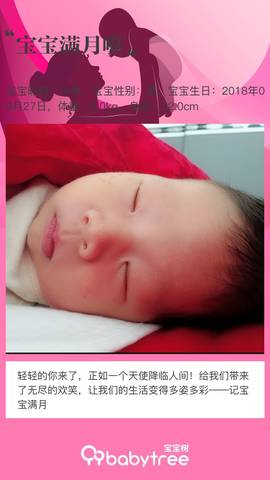 journal_insert_pic_1117468209