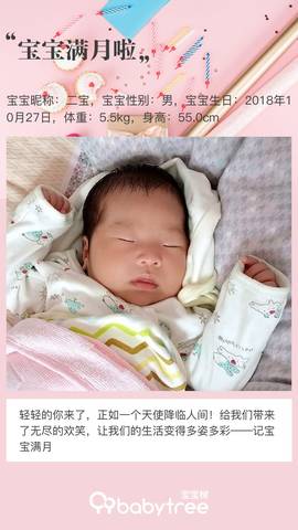 journal_insert_pic_1120234522