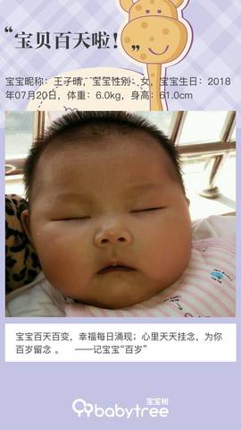 journal_insert_pic_1120737809