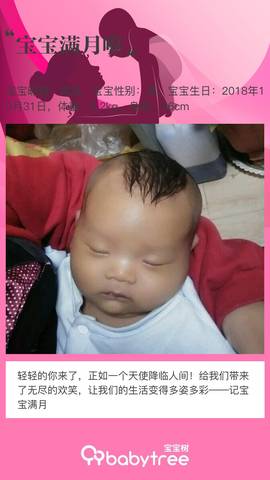 journal_insert_pic_1121289015