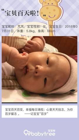 journal_insert_pic_1122691707