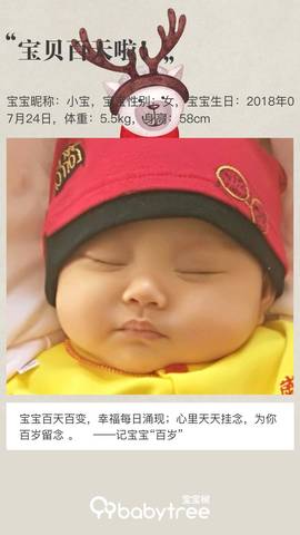 journal_insert_pic_1123258748